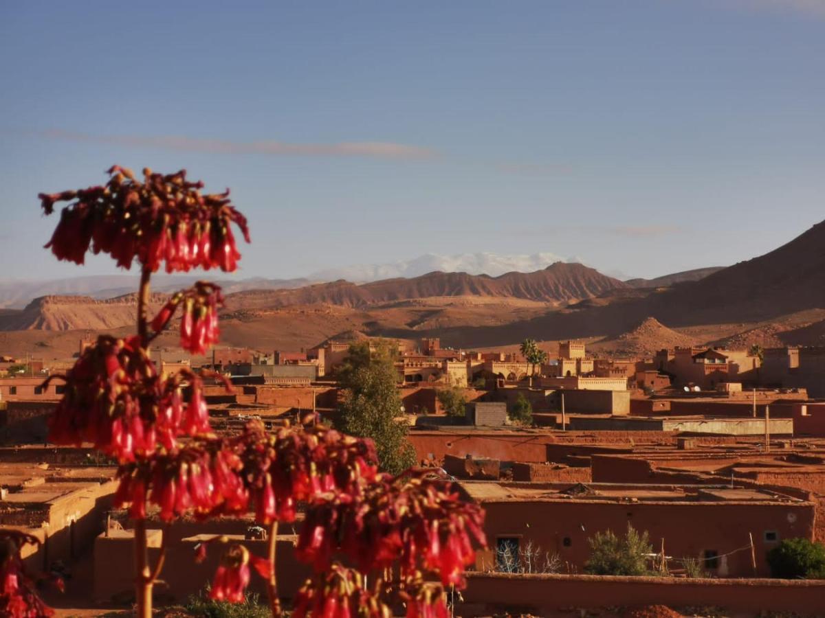 Riad Tigmi du Soleil Ait Benhaddou Extérieur photo