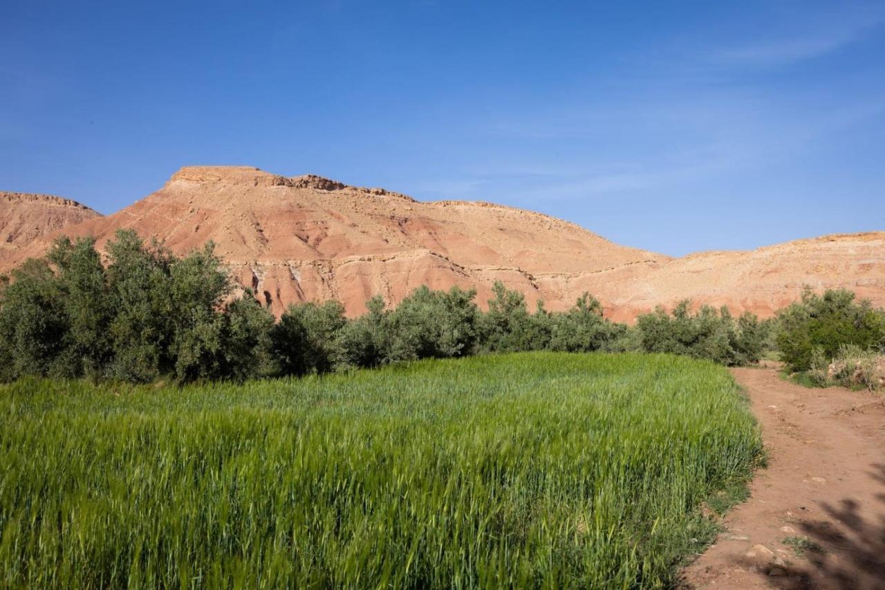 Riad Tigmi du Soleil Ait Benhaddou Extérieur photo