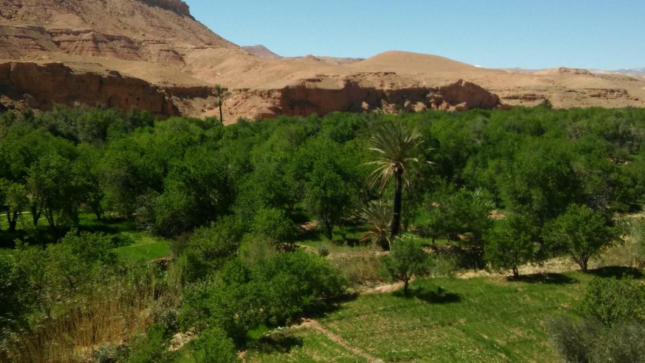 Riad Tigmi du Soleil Ait Benhaddou Extérieur photo